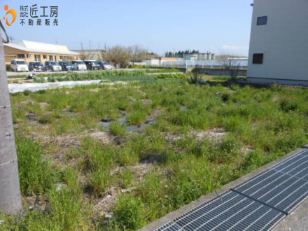 土地 - 滋賀県彦根市八坂町