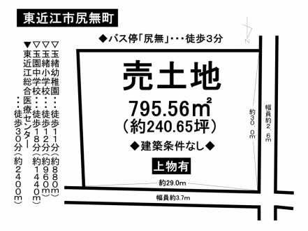 土地 - 滋賀県東近江市尻無町