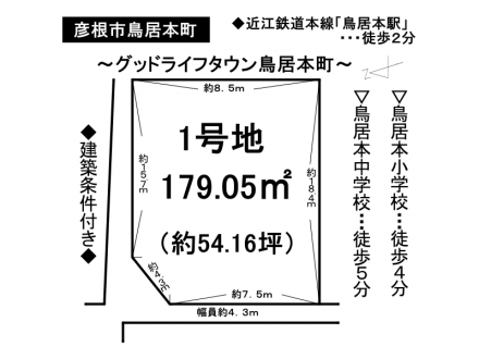 土地 - 滋賀県彦根市鳥居本町