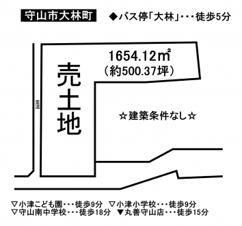 土地 - 滋賀県守山市大林町