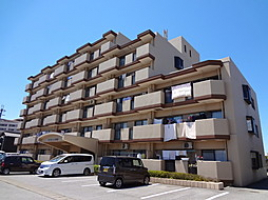 【長浜市　物件情報】